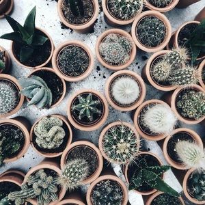 Meet your Posher, Alexsandra